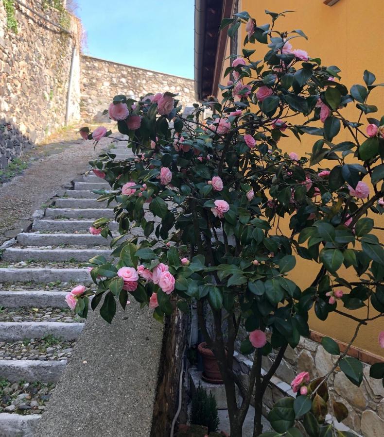 B&B Alle Scalette Trissino Екстериор снимка