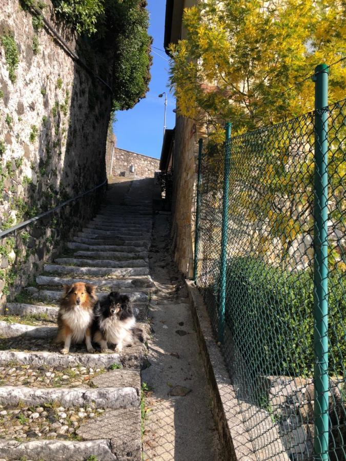 B&B Alle Scalette Trissino Екстериор снимка